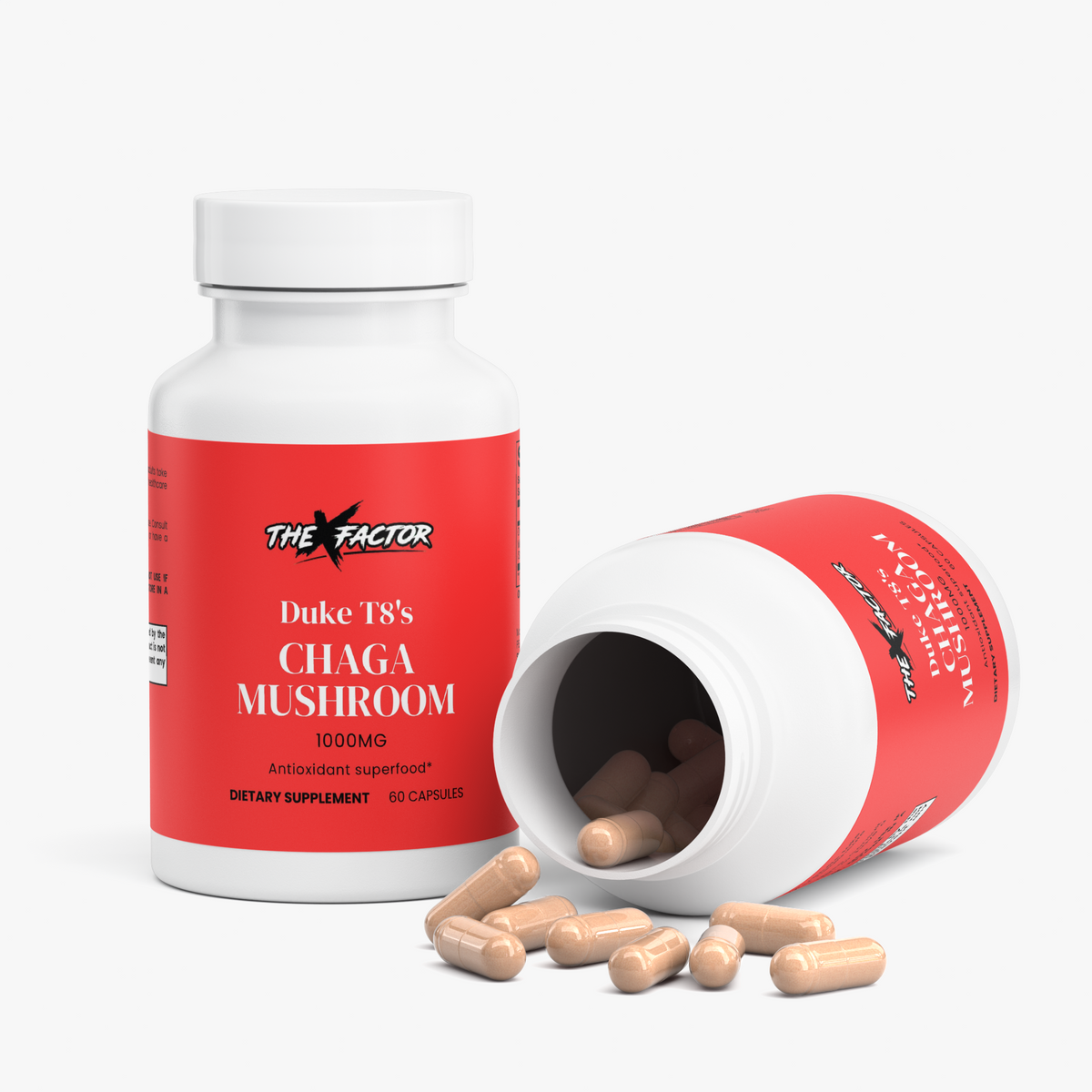 Chaga Mushroom